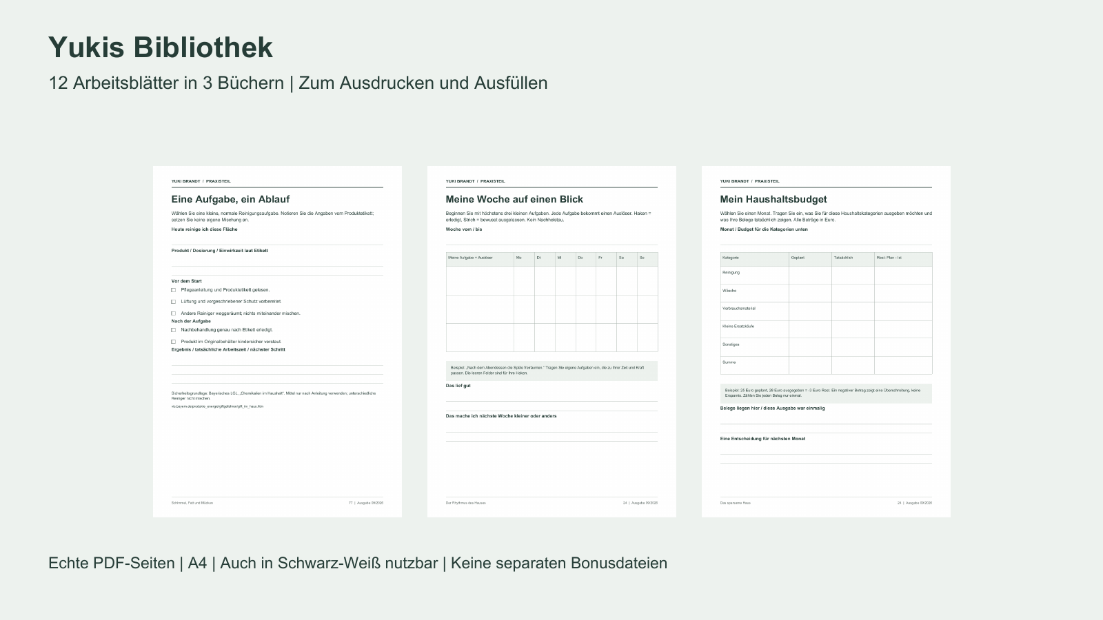 Drei echte Beispielseiten: Ablauf-Checkliste, Wochen-Tracker und Haushaltsbudget